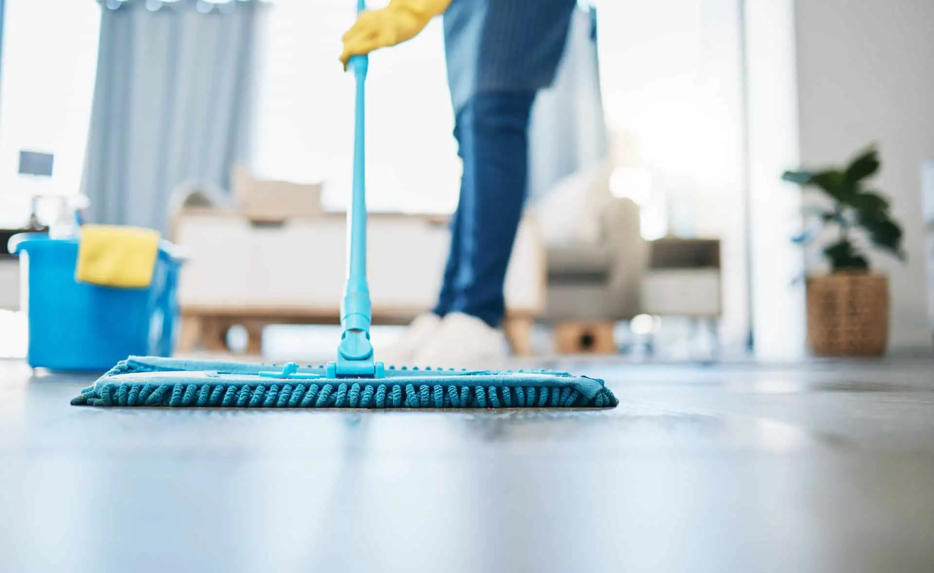 House Cleaning Insurance Colorado