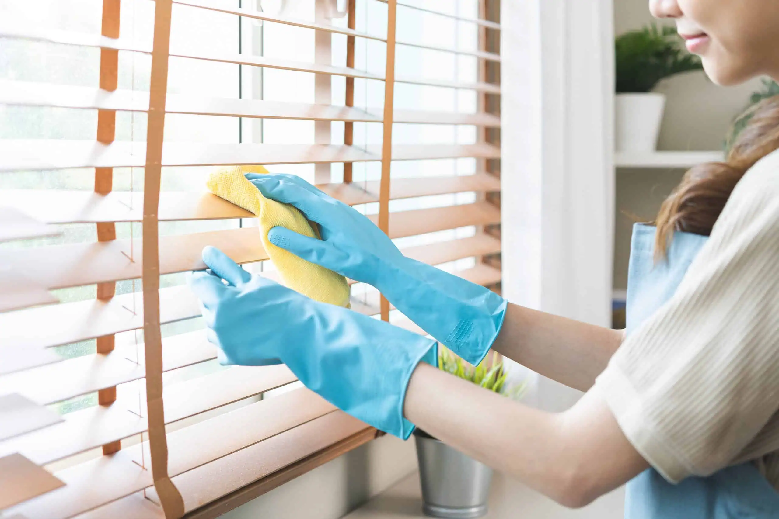 House Cleaning Insurance Colorado