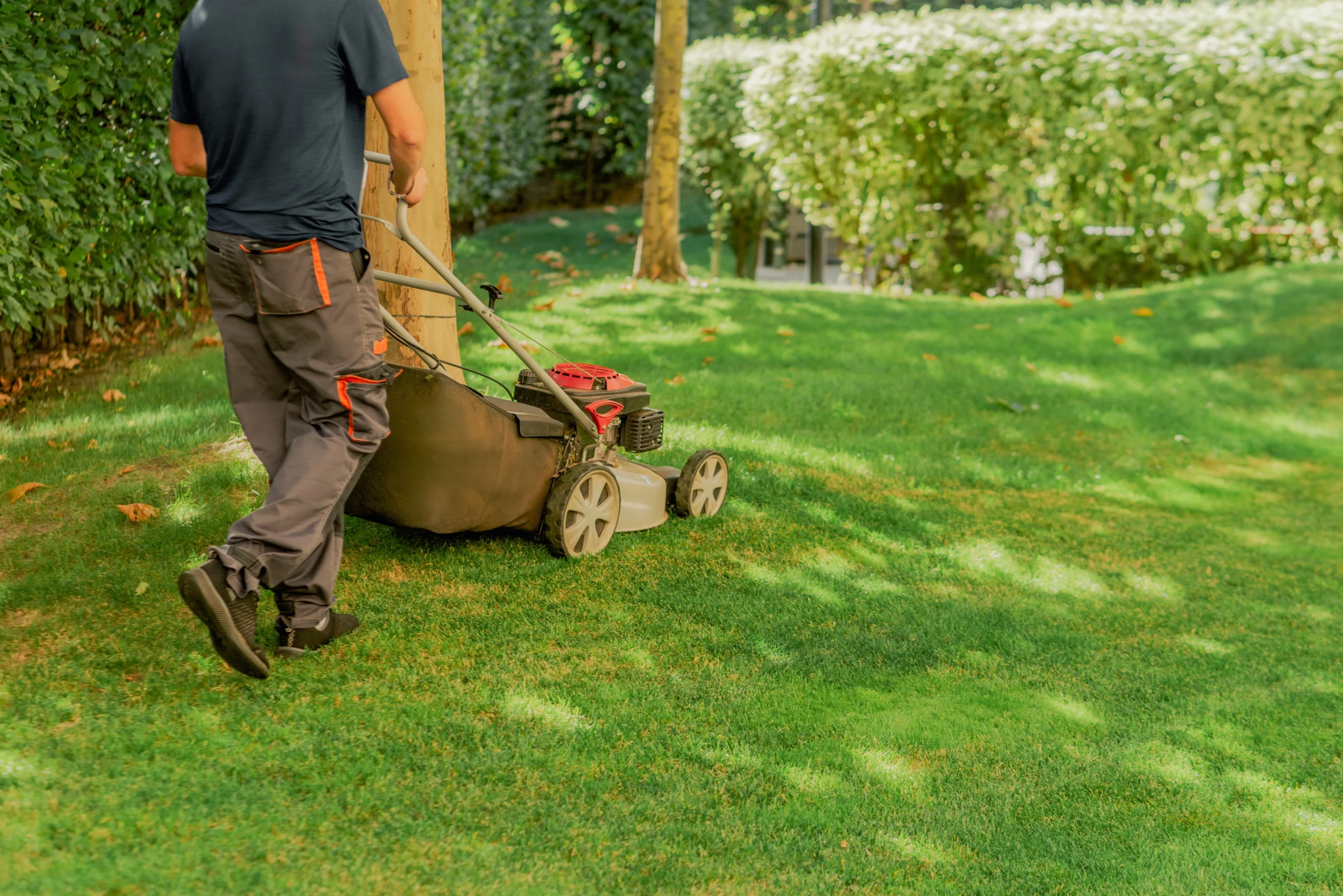 Lawn Care Insurance Colorado