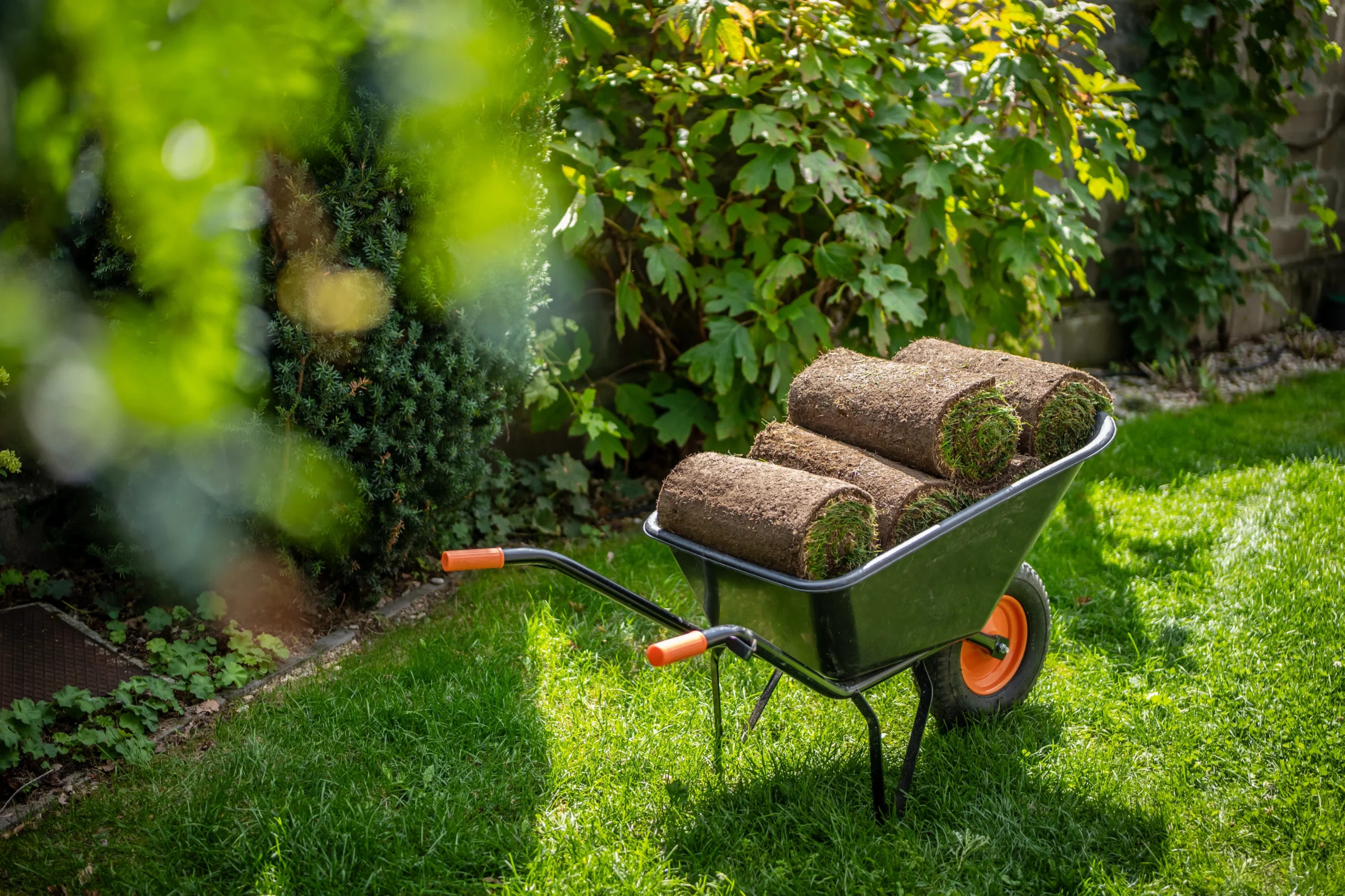Lawn Care Insurance Colorado